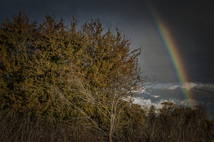 FS231104 00  Stormy Sky And Rainbow
