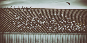 FS231119 DuoTone Artwork  2