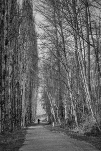 FS231127BW