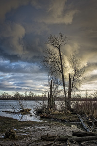 FS231231 FRASER RIVER