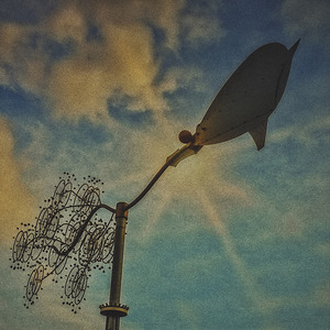 FS240229 BLOW IN THE WIND SS Edit Edit