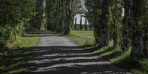 FS240619 231
