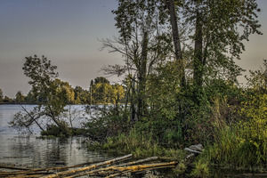 LANDSCAPE OF FRASER RIVER