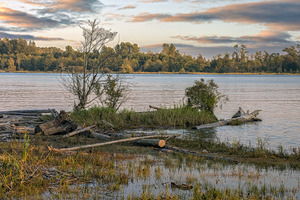 Landscape on Fraser River