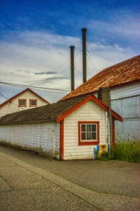 PINHOLE PHOTO 03