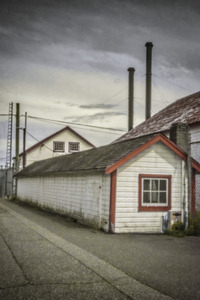 PINHOLE PHOTO 06