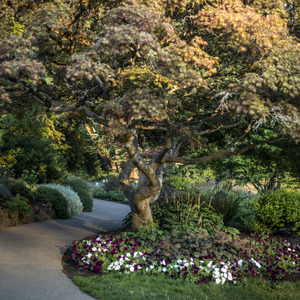 Queen Elizabeth Park