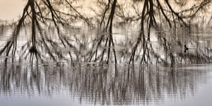 REFLECTION OF LIFE 2023