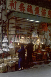 SALTED FISH