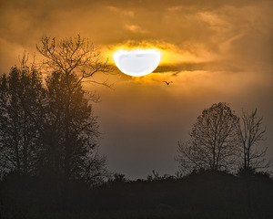 SETTING SUN 3