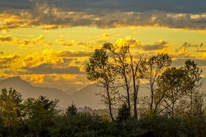 SUNSET SCENERY