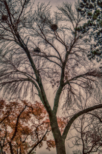 Season s Colours
