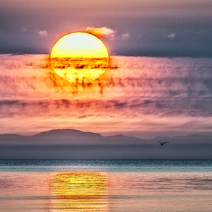 The Sun Go Down To Rise Again