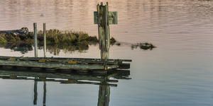 WATER REFLECTIONS
