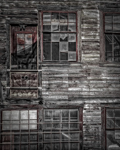 WINDOWS 05