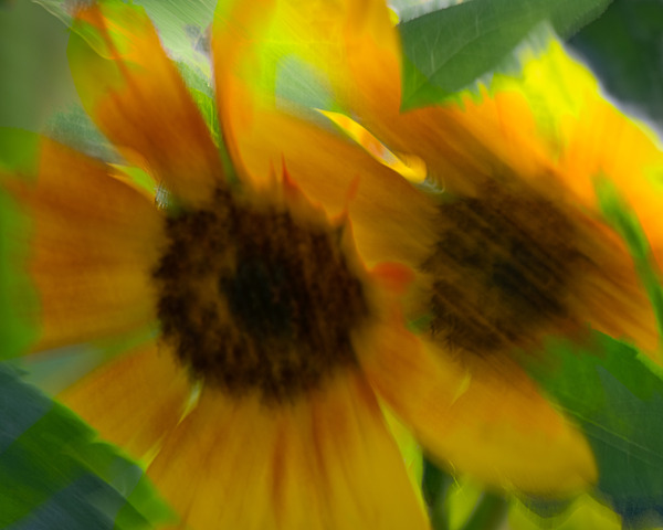20240827 53 Edit Print