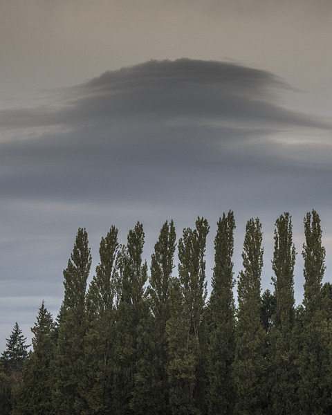 FS250920 CLOUDSCAPE Print