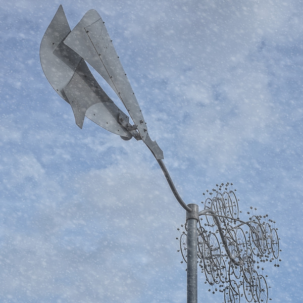 FS240229E Edit Print