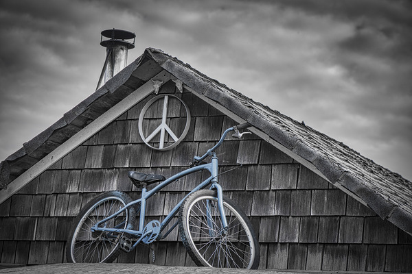 FS240214 BLUE BIKE ON ROOF Print