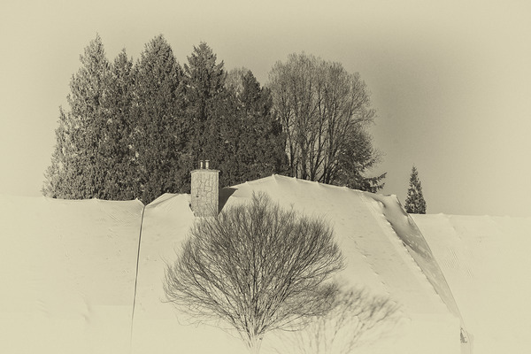 Chimney And Trees Print