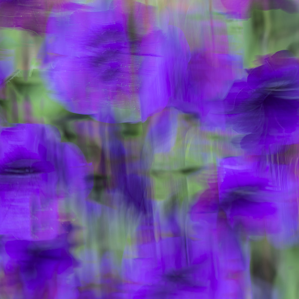 20240819 38 Edit Print