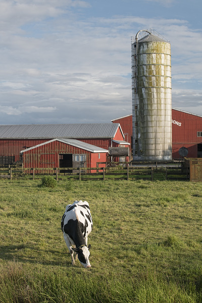 FS250531 FARM Print