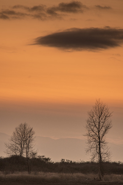 20250121 07 154 Print