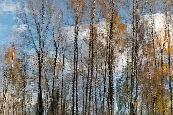 Autumn2020 Print