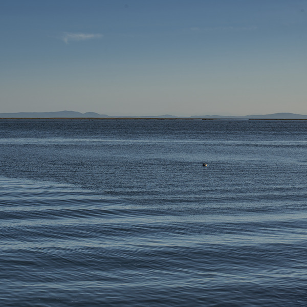 BLUEWATER 2022 Print