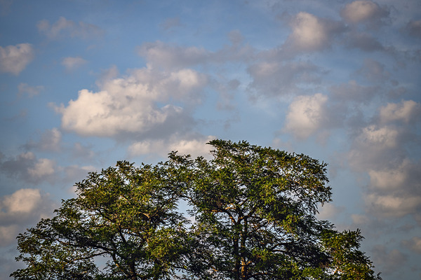 CLOUDSCAPE 2024 Print