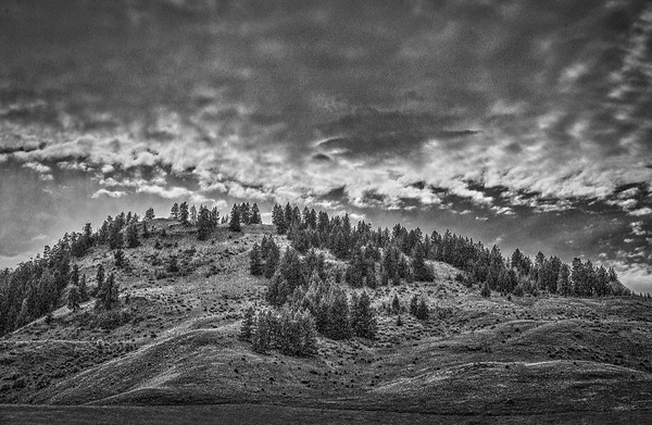 FS080518BW2 Print