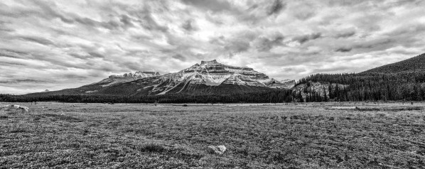 FS121007 BW Print