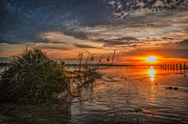 FS150326H Print