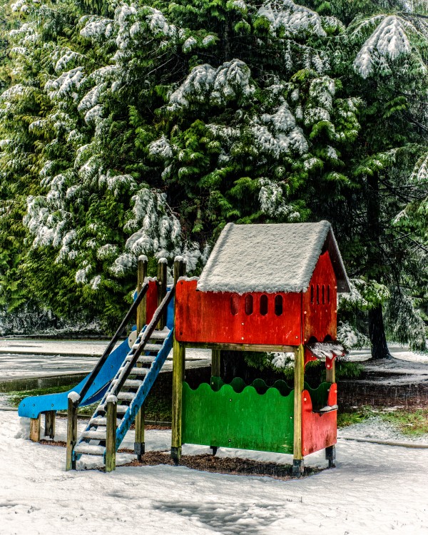 FS171219 Print