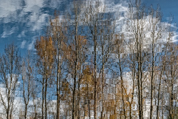 FS201107 8 Print