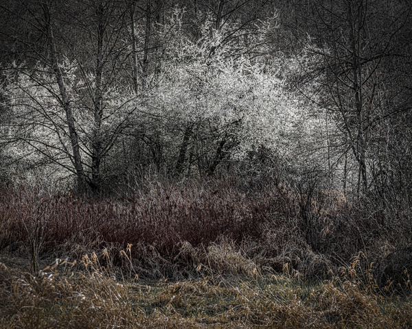 FS210329 03 Print