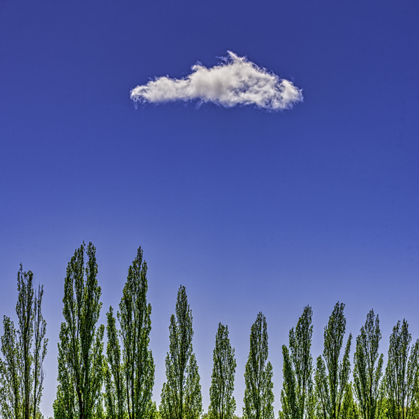 SUMMER SKY  Print