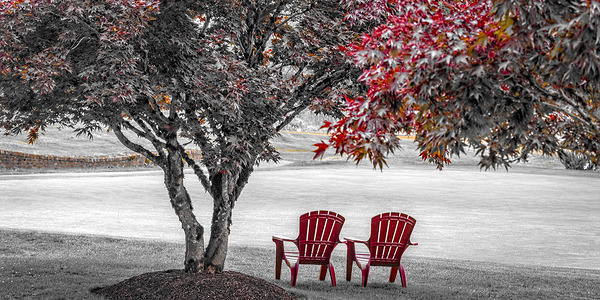 FS210731 RED CHAIRS Print