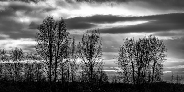 FS230103 BW Print