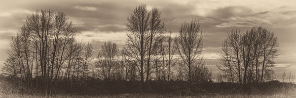 FS230103 SEP by FOTOSQUARES COM