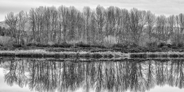 FS230104BW Print