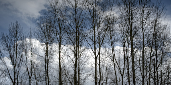 FS230307 06 Print
