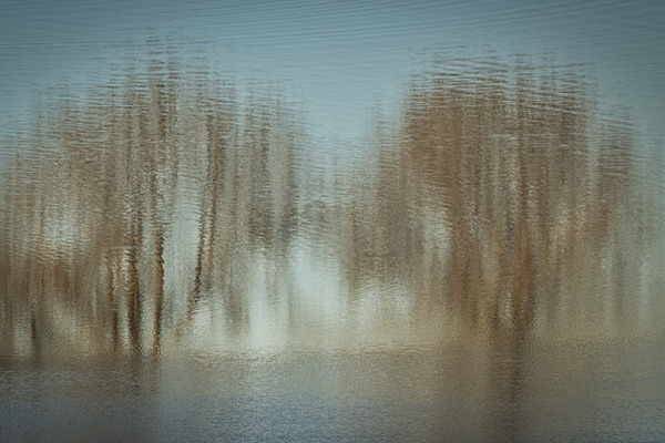 FS230404 045 Print