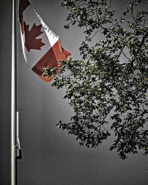 FS230503 FLAG 4 Print