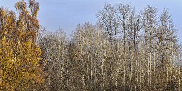 FS231127 Print