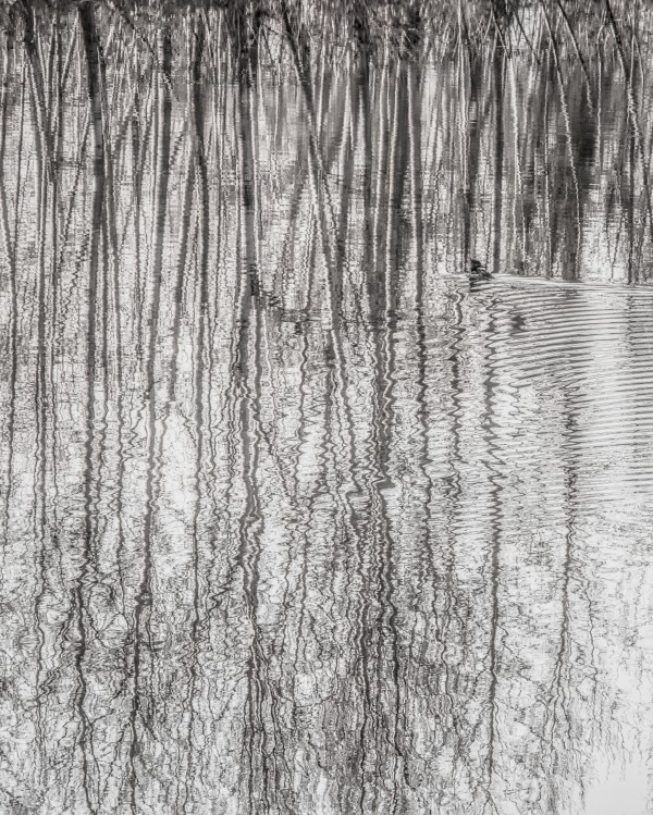 FS 110269 Print