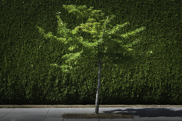 GREEN CITY Print