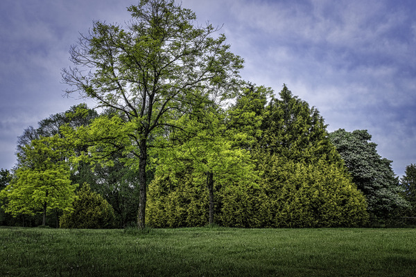 GREEN LIFE Print