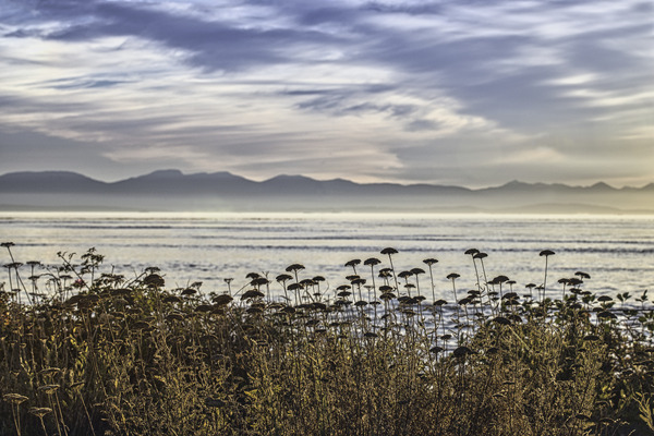 Misty Landscape Print