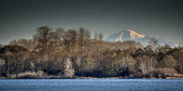 Mount Baker Print